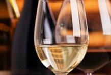 American River Whitewater Rafting and Wine Tasting